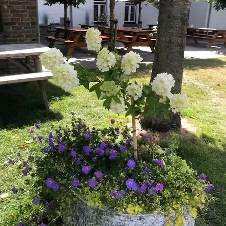 Hoeve Drogenberg Holiday home *